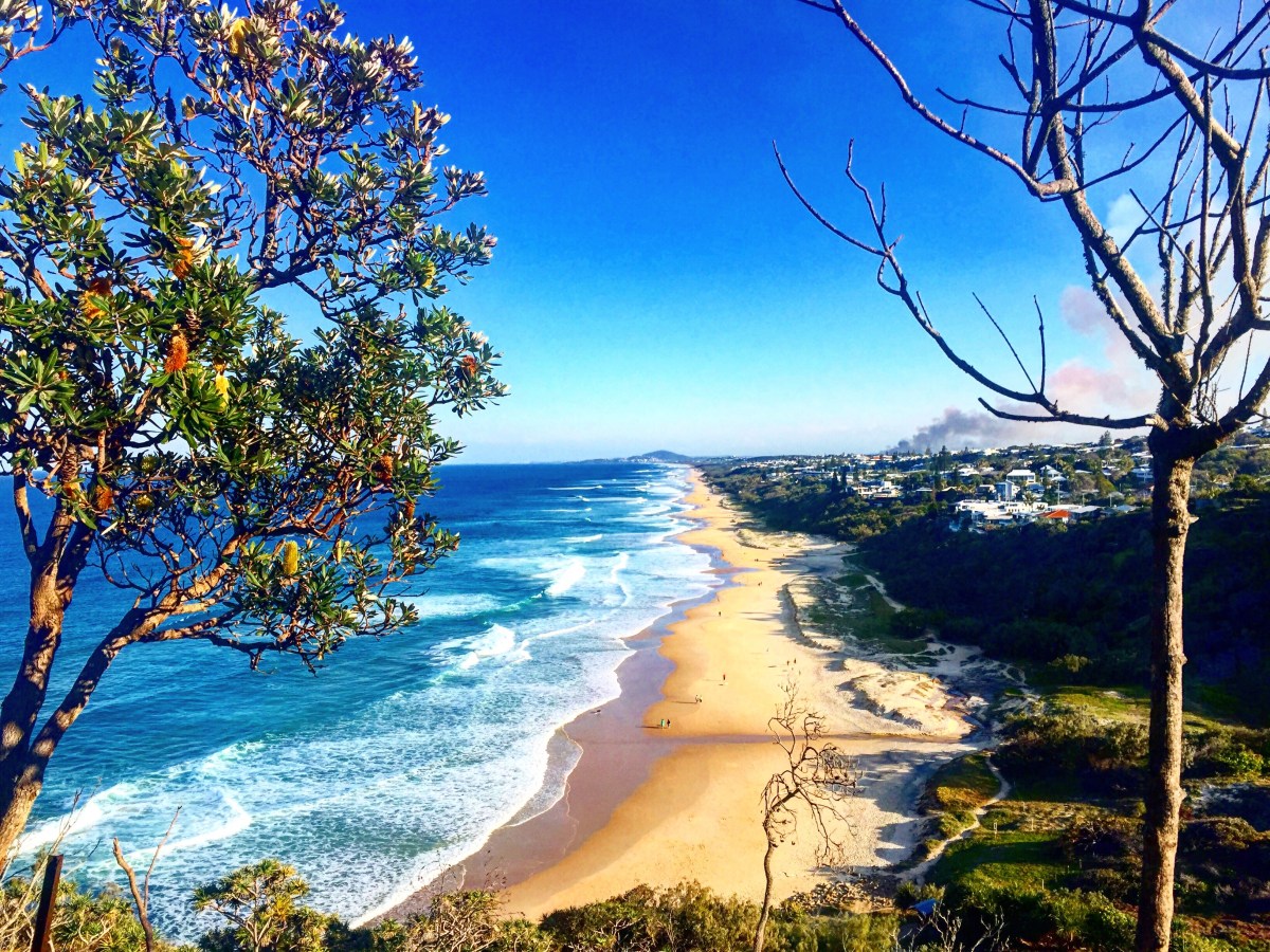 Tag 45 – 47: Lovely Noosa! (30.7. –&nbsp;1.8.)